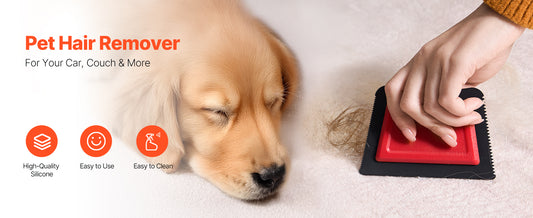 Mini Pet Hair Remover for Couch Detailing Squeegee