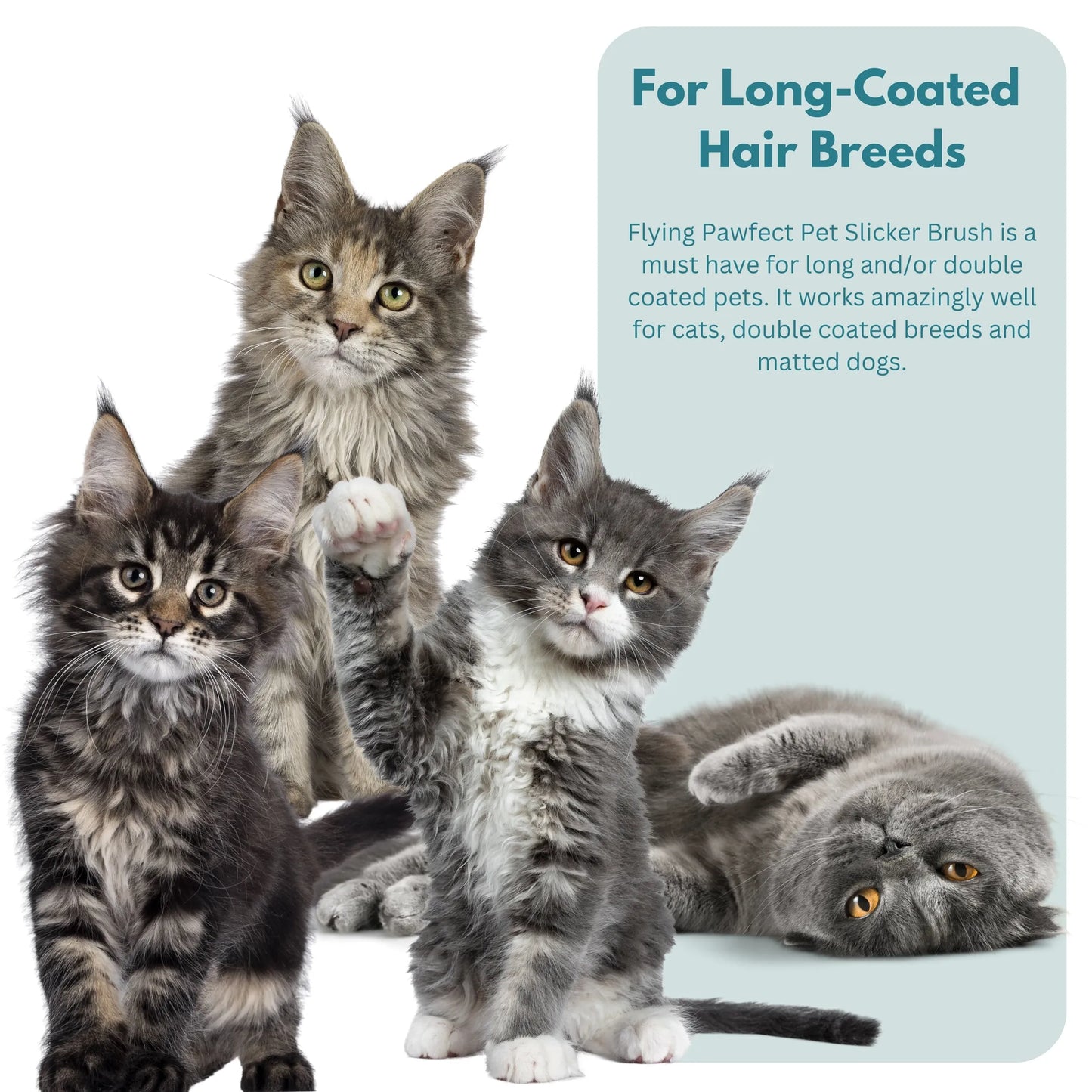 Flying Pawfect Flat Coral Medium Pet Slicker Brush supplier image 10