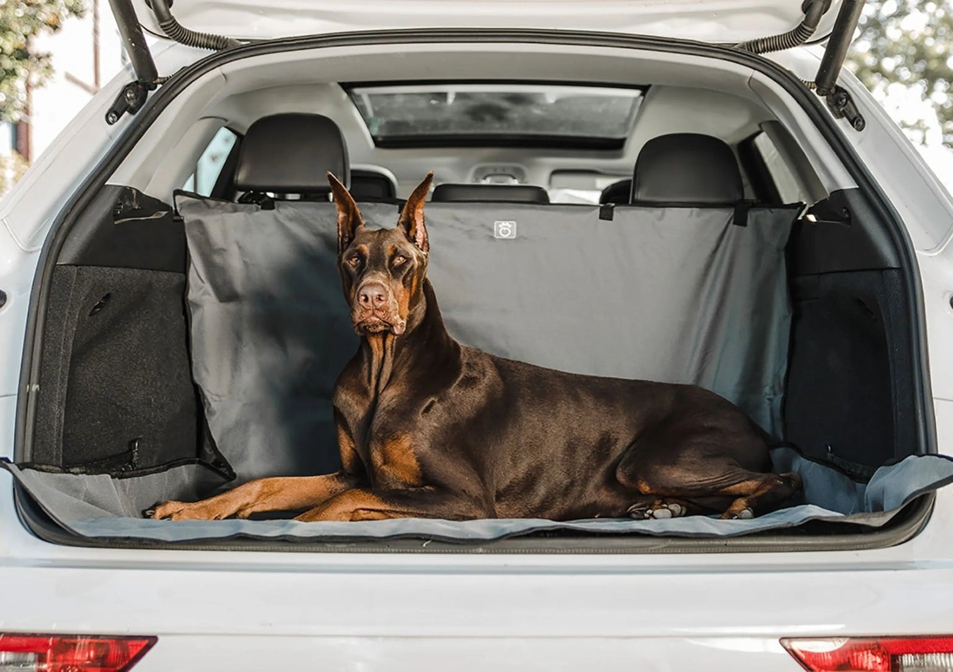 GF Pet Cargo Cover supplier image 1