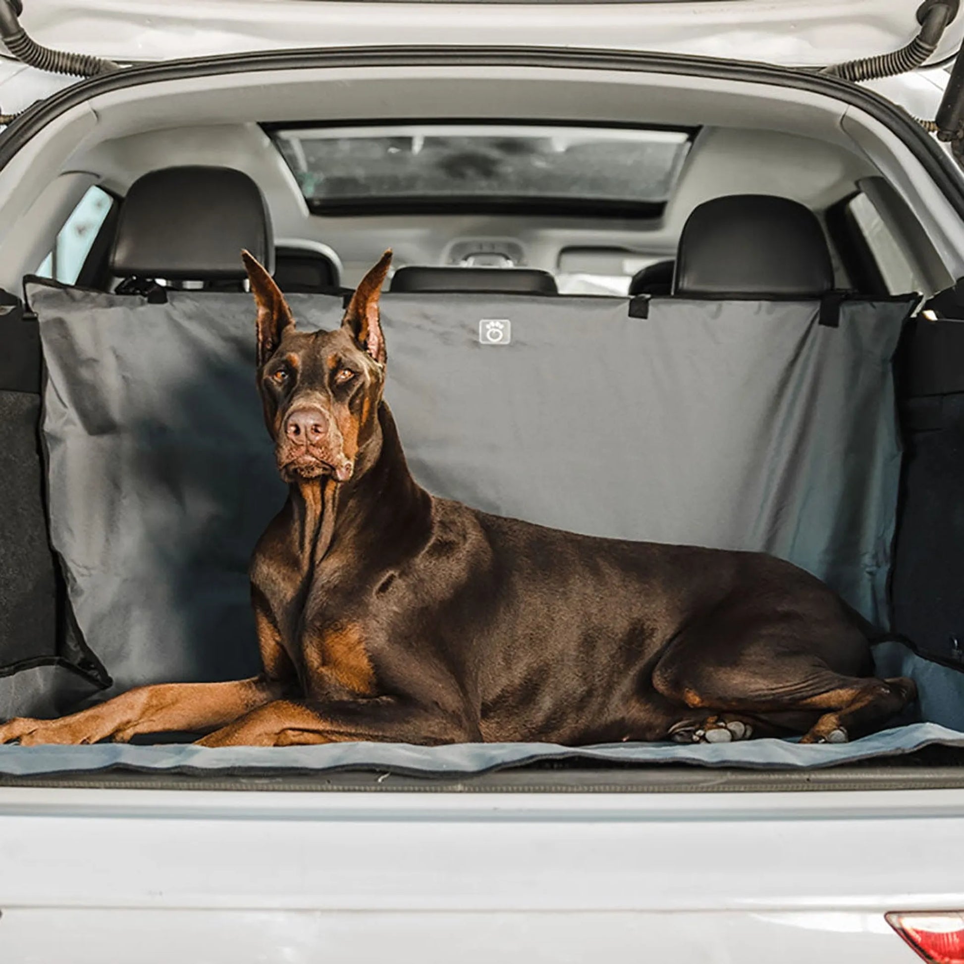 GF Pet Cargo Cover supplier image 3