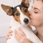 do dogs understand kisses