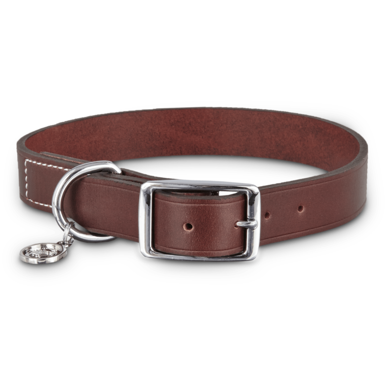 dog collars