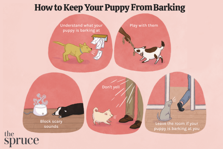 help your barking dog stop