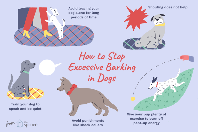 how to stop annoying dog barking