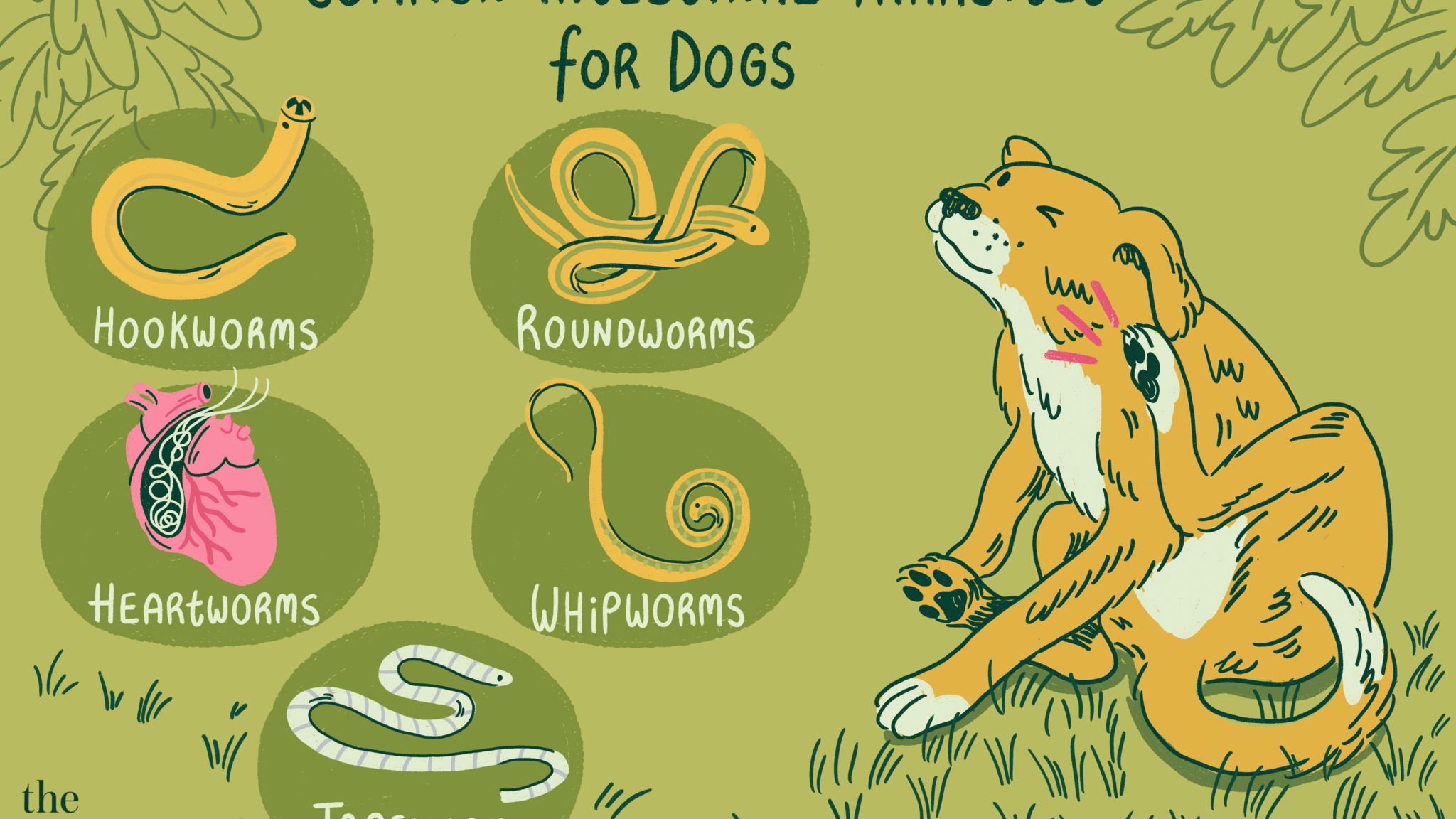 worms-in-your-dog-doggie-joy