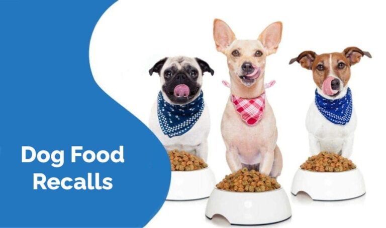 dog food recall 2022