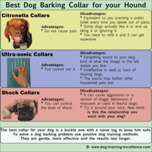 how does an anti bark collar work 1