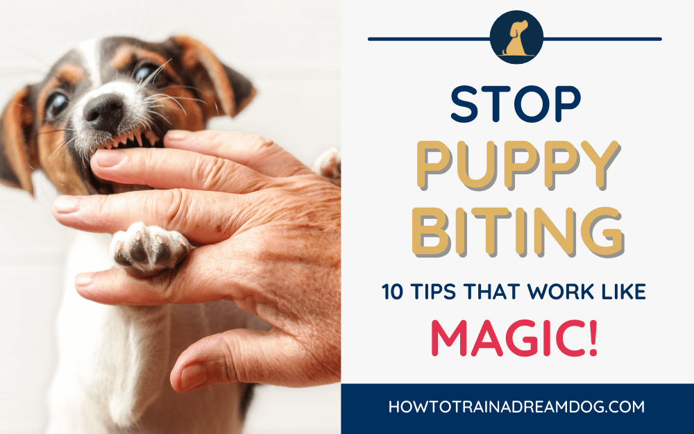how to stop puppy biting feet