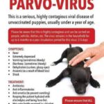 understanding how do dogs get parvo 1