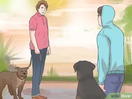 how to stop my dog from barking at other dogs