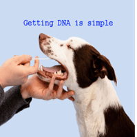 getting dna 1