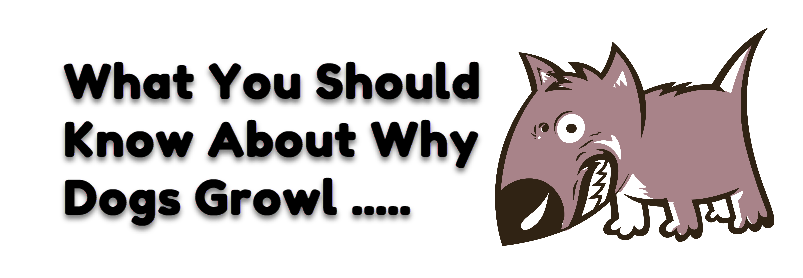 why dogs growl