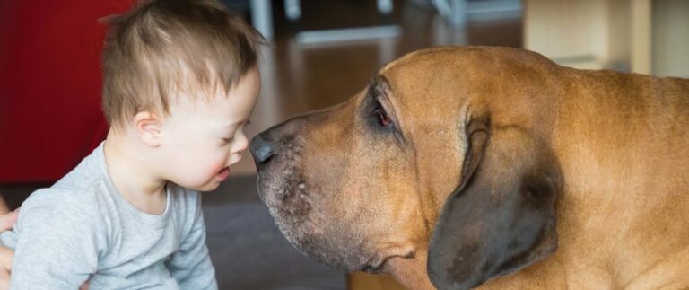 baby with dog