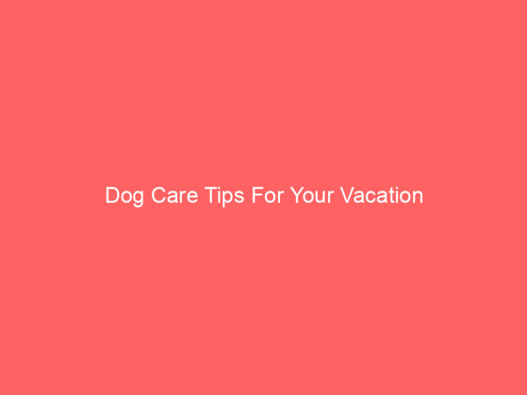 Dog Care Tips For Your Vacation