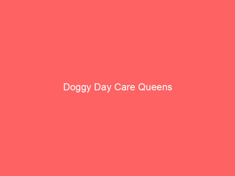 Doggy Day Care Queens