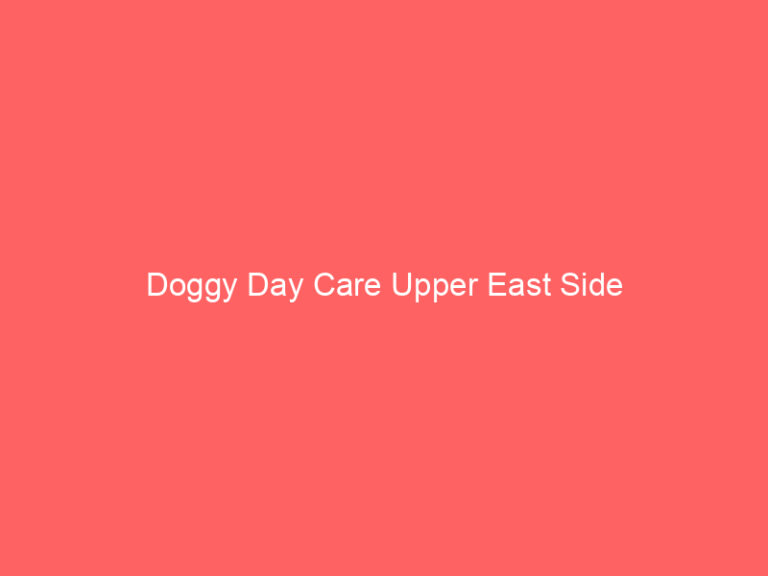 Doggy Day Care Upper East Side