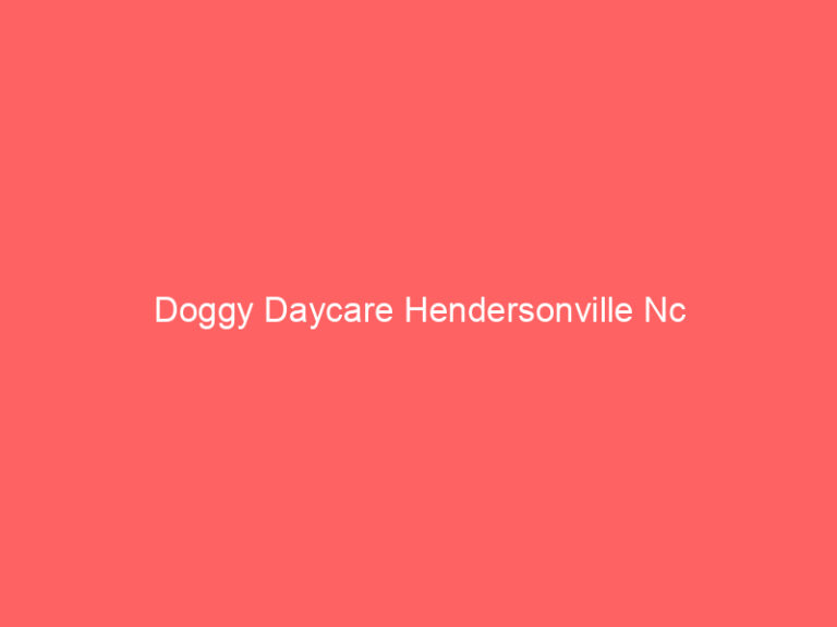 Doggy Daycare Hendersonville Nc