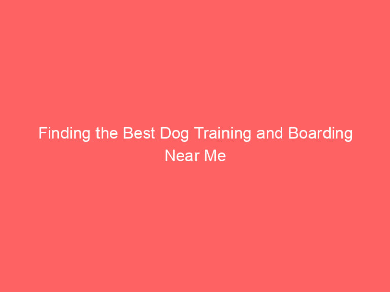 Finding the Best Dog Training and Boarding Near Me