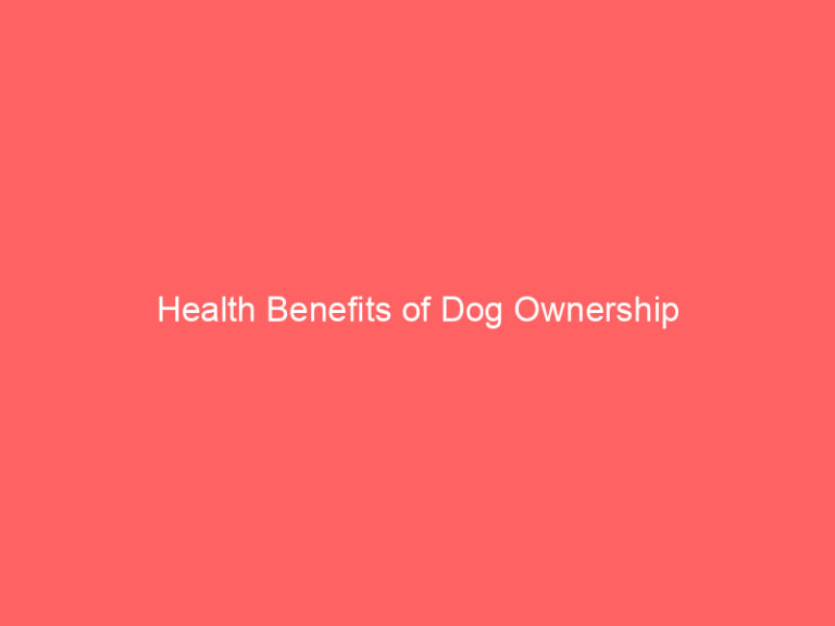 Health Benefits of Dog Ownership