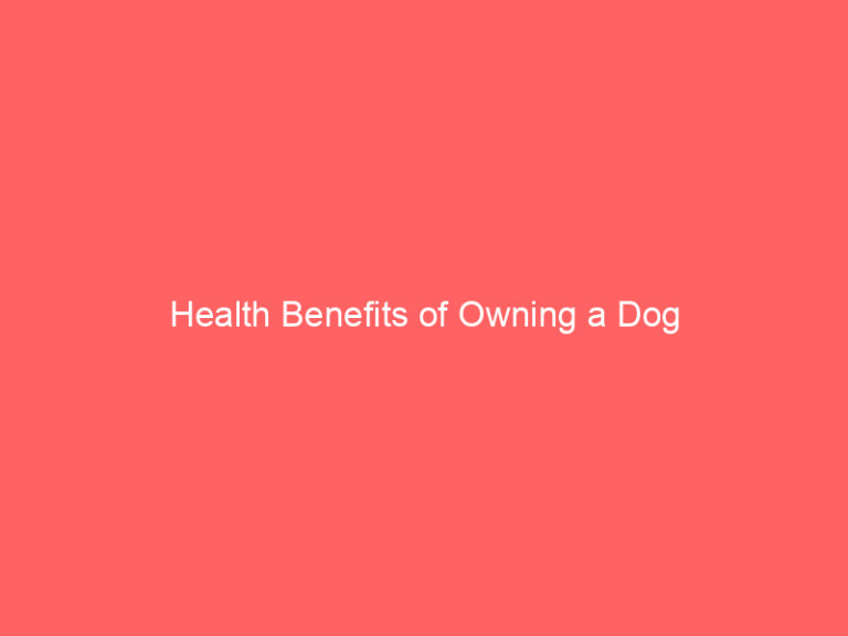 Health Benefits of Owning a Dog