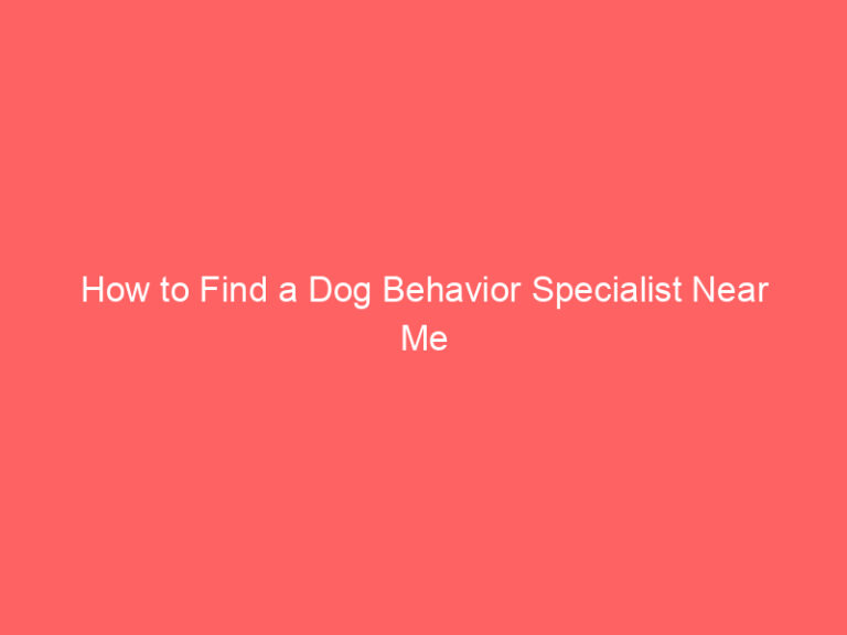 How to Find a Dog Behavior Specialist Near Me