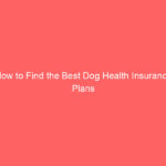 How to Find the Best Dog Health Insurance Plans