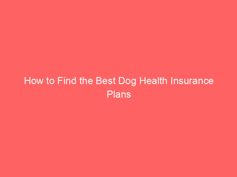 How to Find the Best Dog Health Insurance Plans