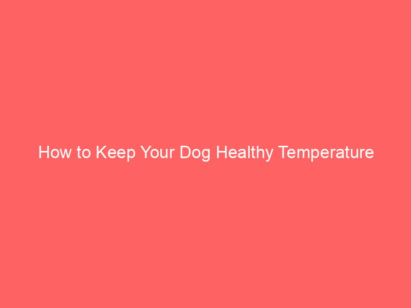 How to Keep Your Dog Healthy Temperature