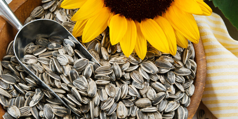 sunflower seeds