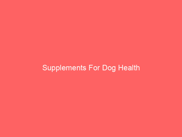 Supplements For Dog Health