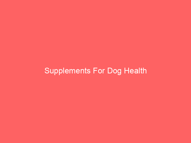 Supplements For Dog Health