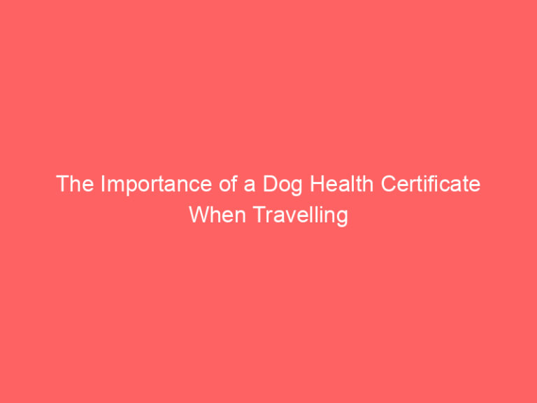 the-importance-of-a-dog-health-certificate-when-travelling-doggie-joy