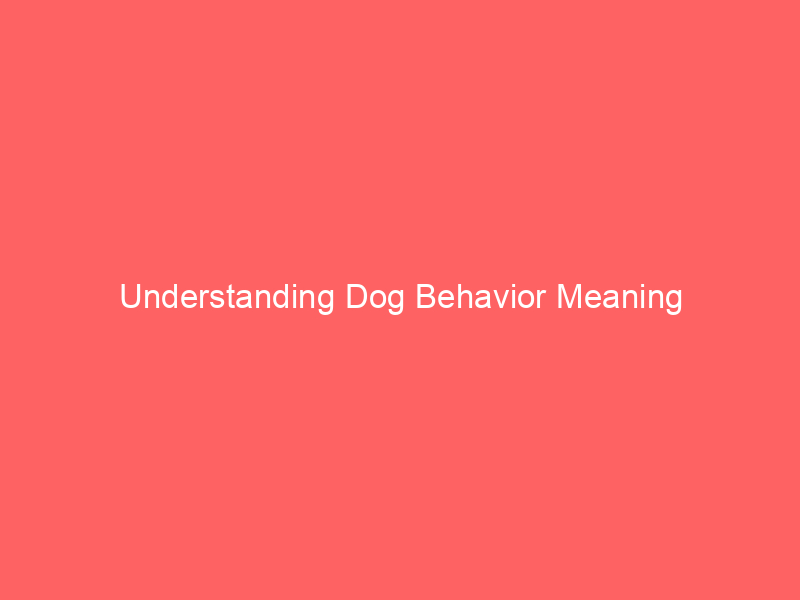 Understanding Dog Behavior Meaning