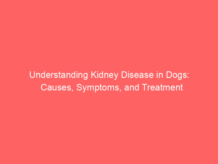 understanding-kidney-disease-in-dogs-causes-symptoms-and-treatment