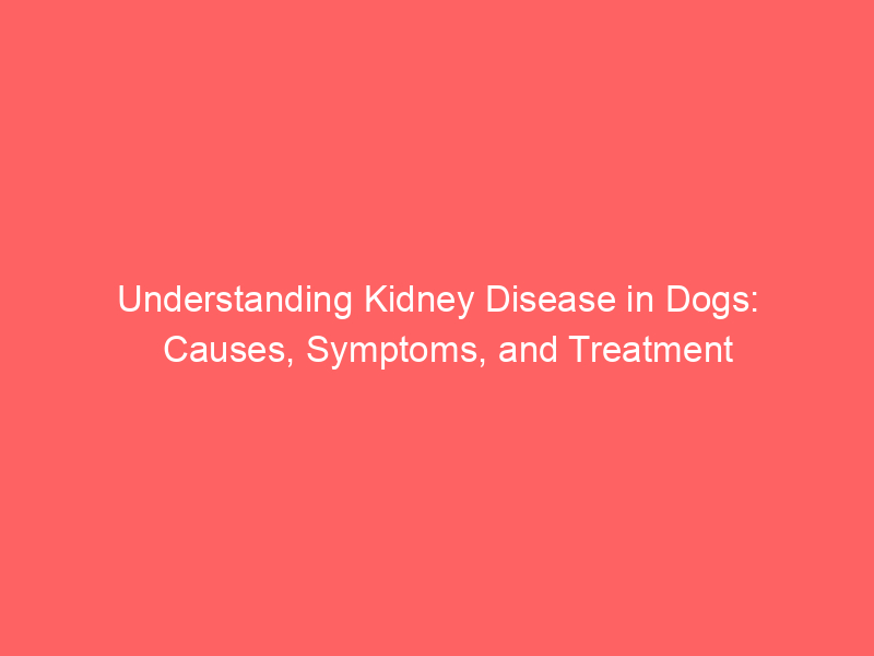 Understanding Kidney Disease in Dogs: Causes, Symptoms, and Treatment