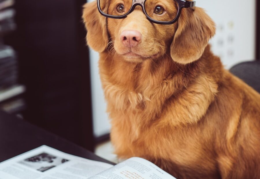 dog sitting in front of book